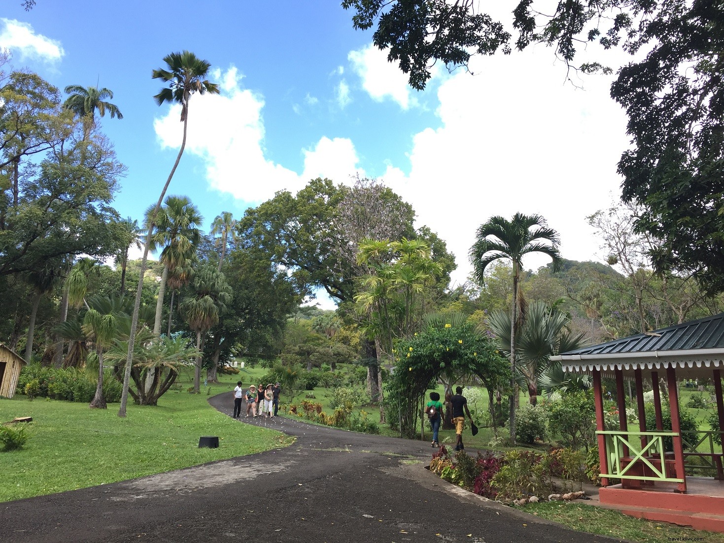 5 razões para visitar São Vicente e Granadinas 